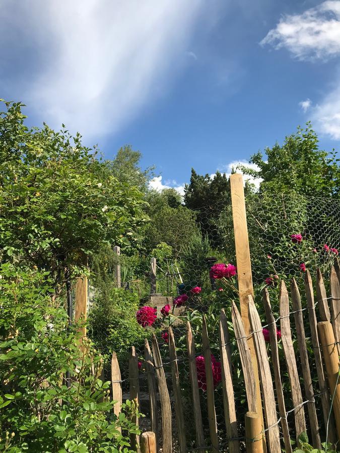 Chalet Alpenrose Швангау Екстериор снимка